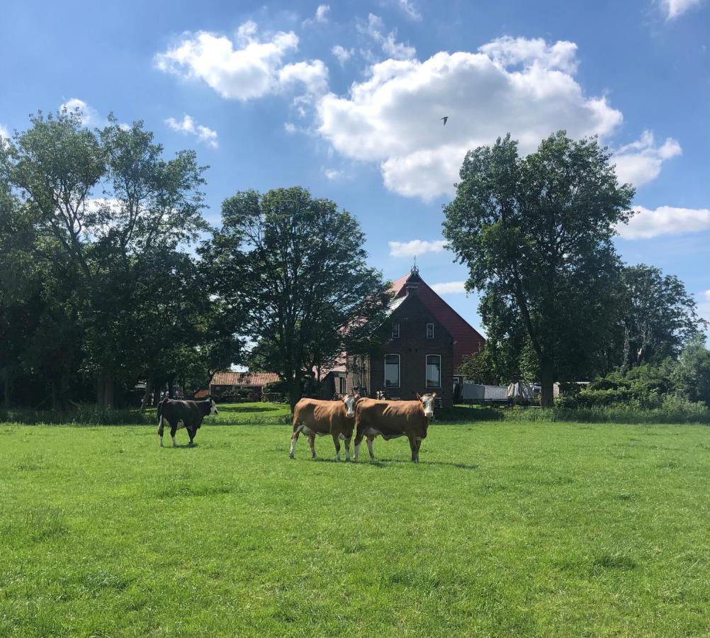 Appartementen Verhuur De Trijehoek Stiens Bagian luar foto